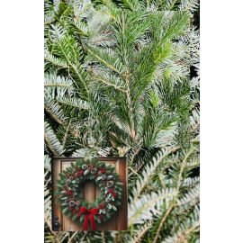 sapin_noel_naturel_livraison_nordmann