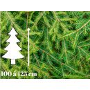 Sapin de Noël Epicéa - 100 à 125 cm - Qualité Premium