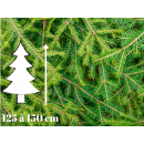 Sapin de Noël Epicéa - 125 à 150 cm - Qualité Premium