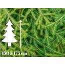 sapin_noel_naturel_livraison_epicea